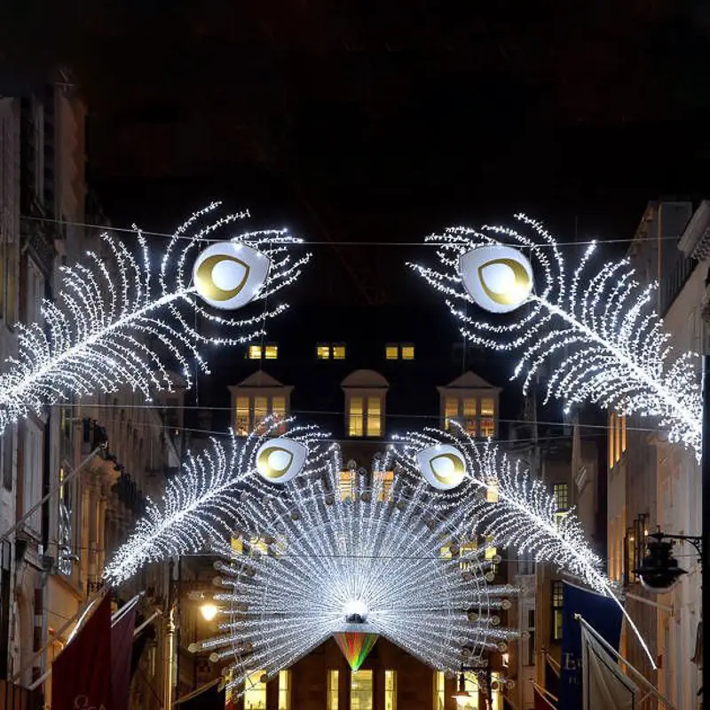 картинка Световое пано Перо павлина 80х50 см