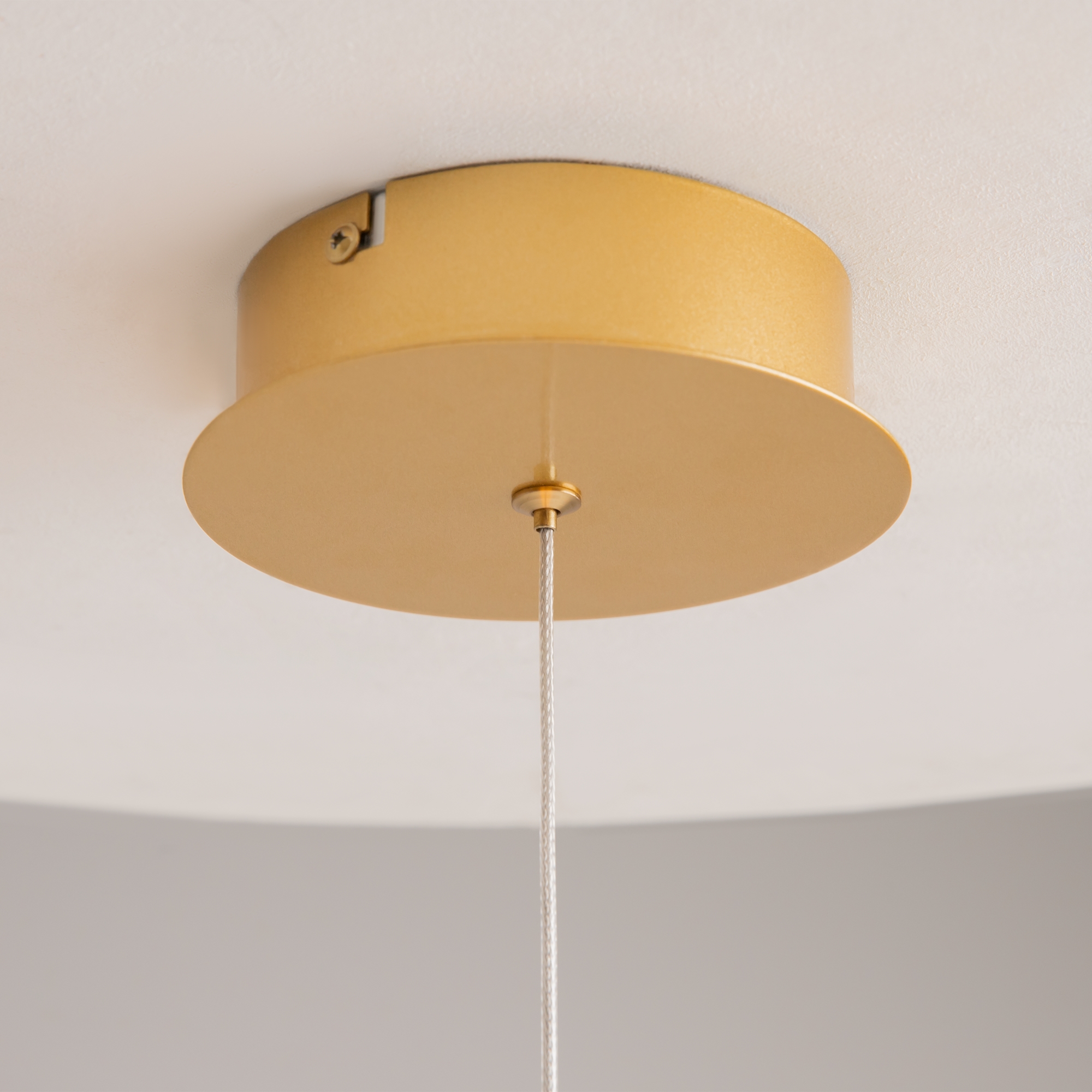 картинка Подвесной светильник Maytoni MOD345PL-L11BS3K