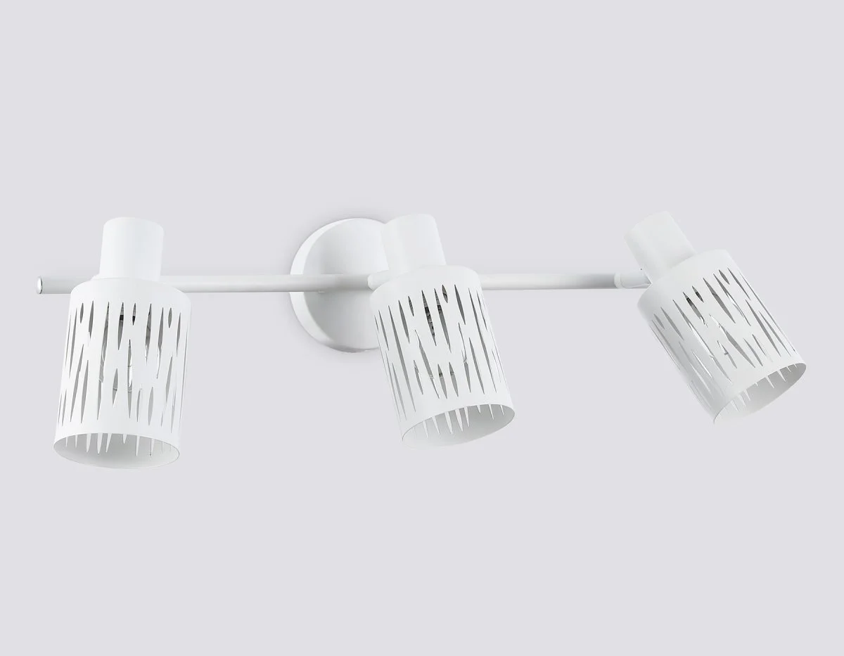 картинка Настенно-потолочный спот в стиле лофт TR8665