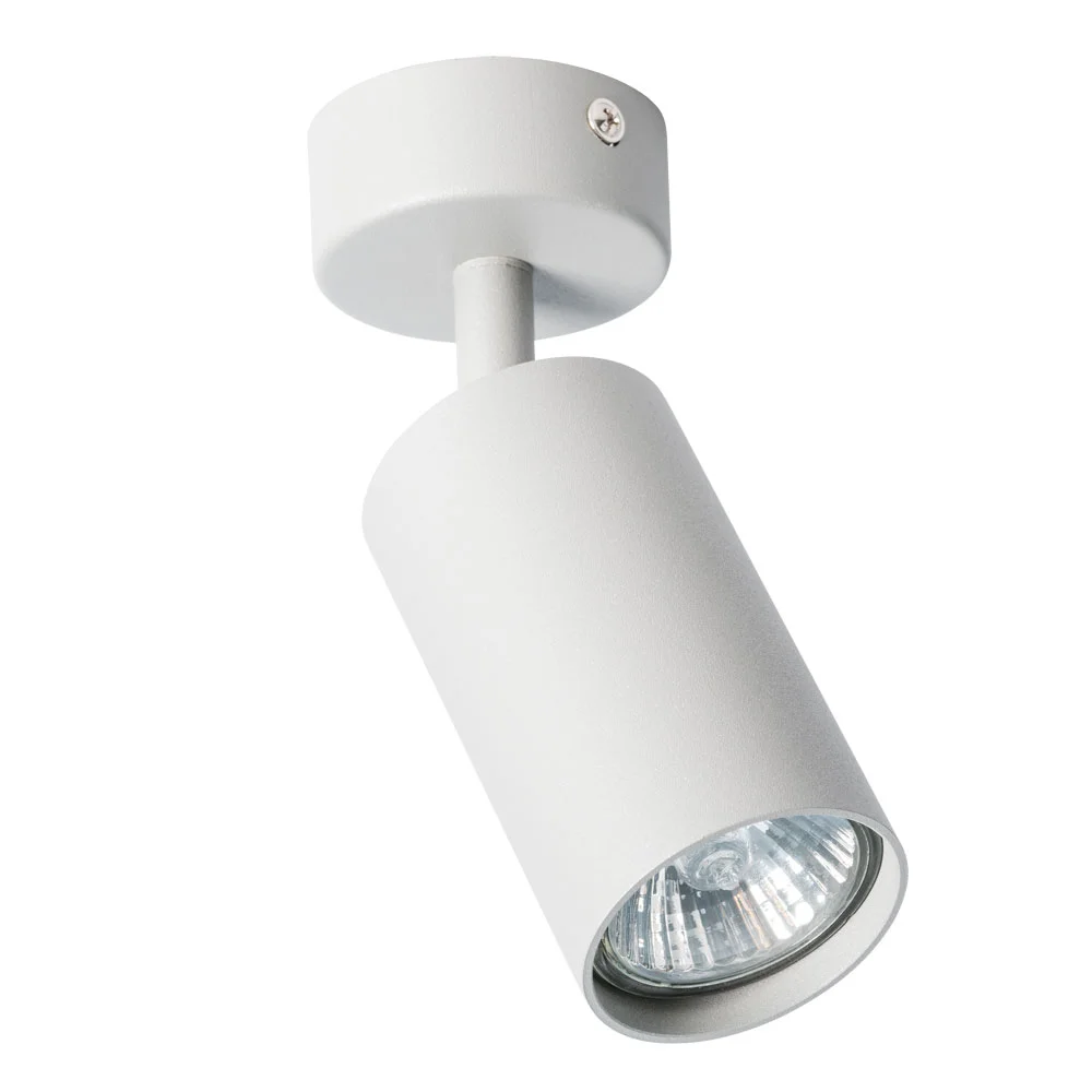 картинка Спот Arte Lamp AQUARIUS A3216PL-1GY