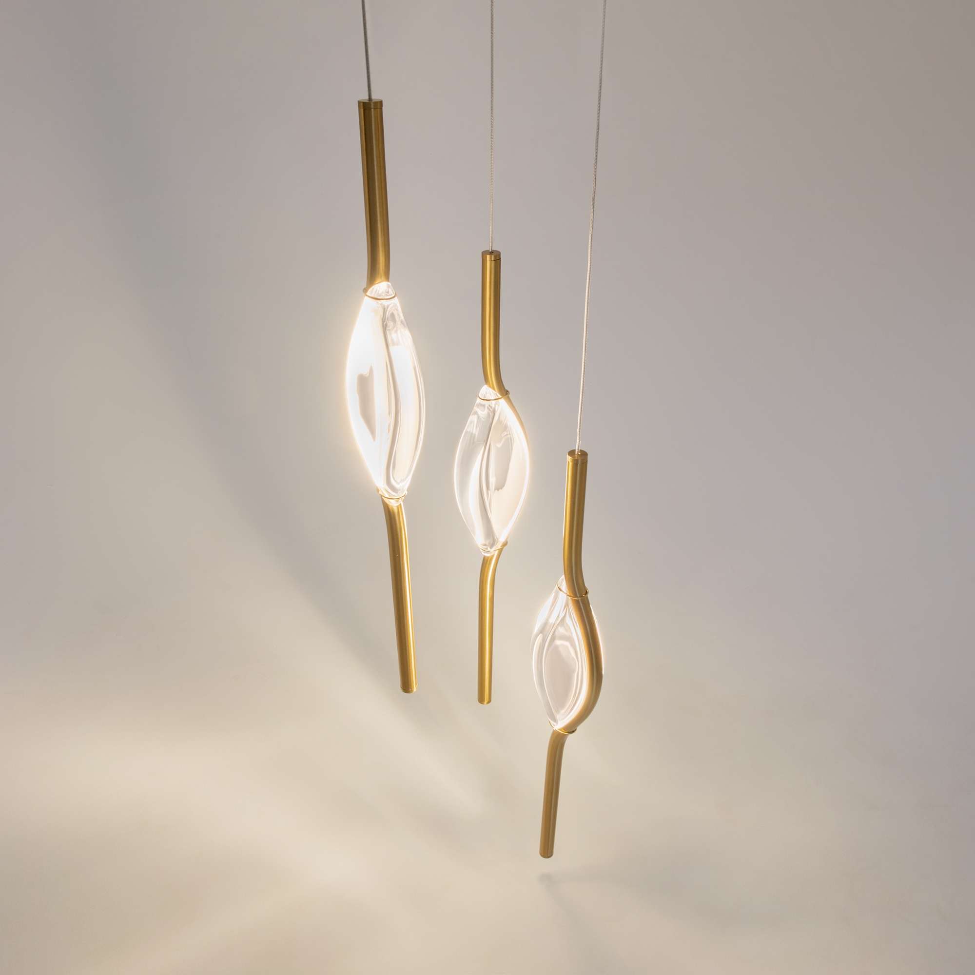 картинка Подвесной светильник Maytoni MOD347PL-L24BS3K