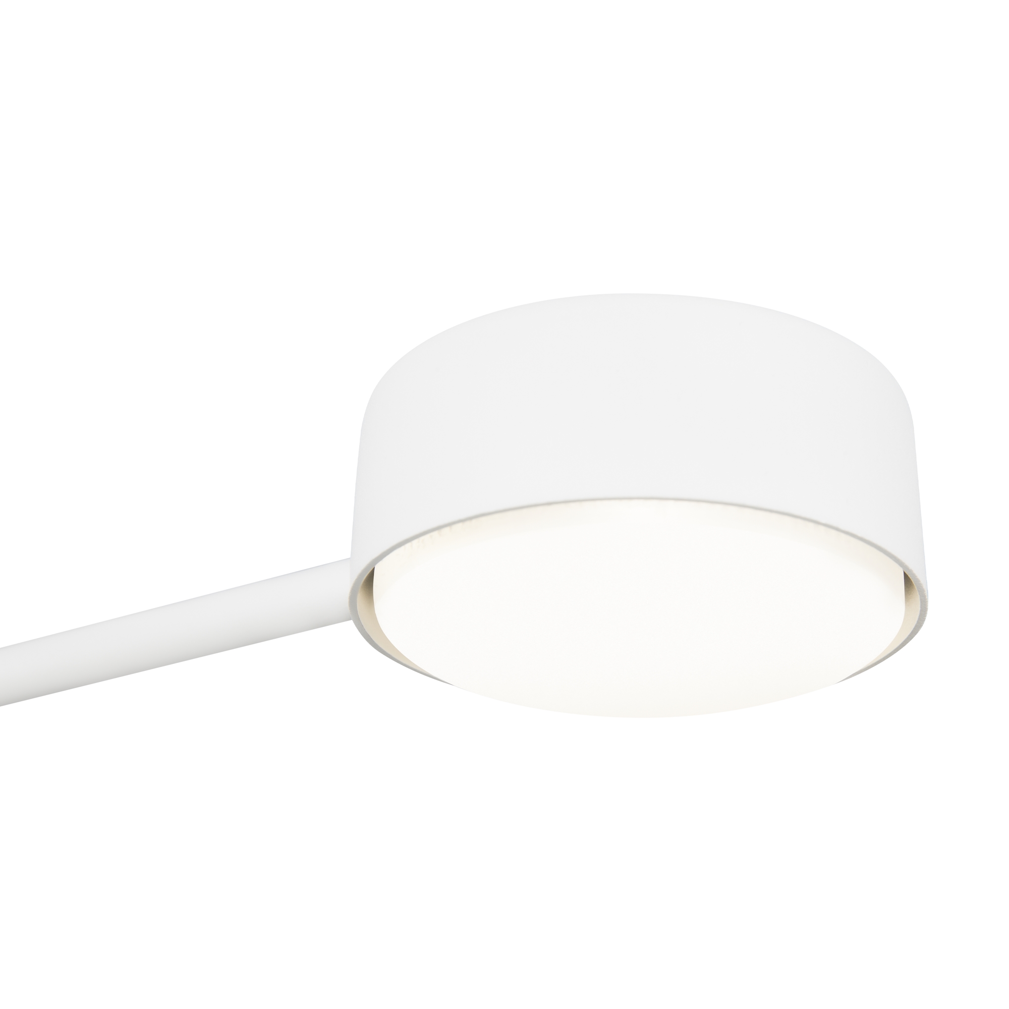 картинка Потолочный светильник Freya FR5363CL-02W1