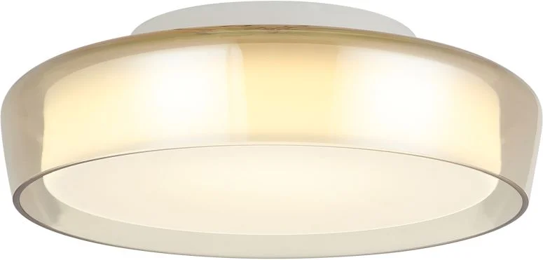 картинка Светильник потолочный Stilfort 4027/05/01C-IP серия Ipstat