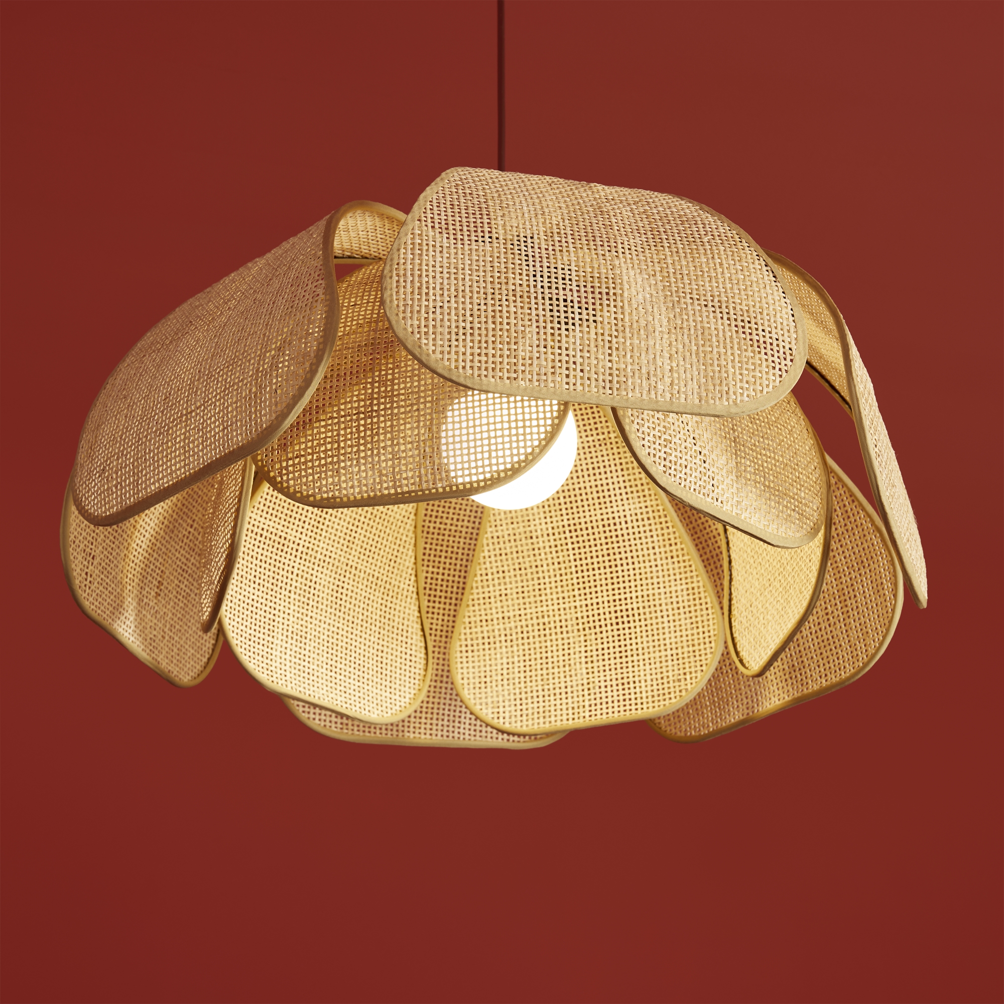 картинка Подвесной светильник Freya FR5529PL-01B