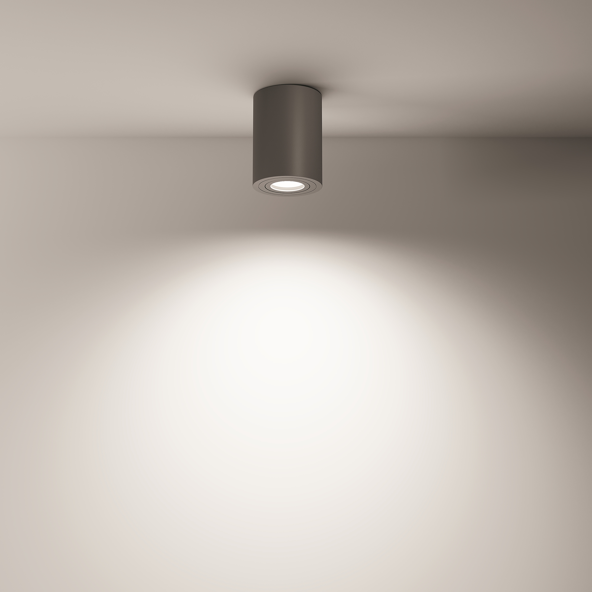 картинка Потолочный светильник Technical C016CL-01B