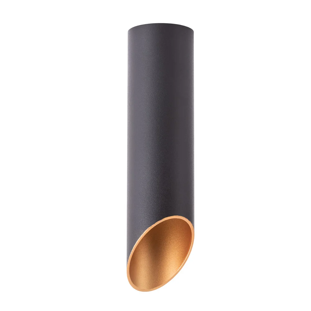 картинка Точечный накладной светильник Arte Lamp PILON-GOLD A1535PL-1BK