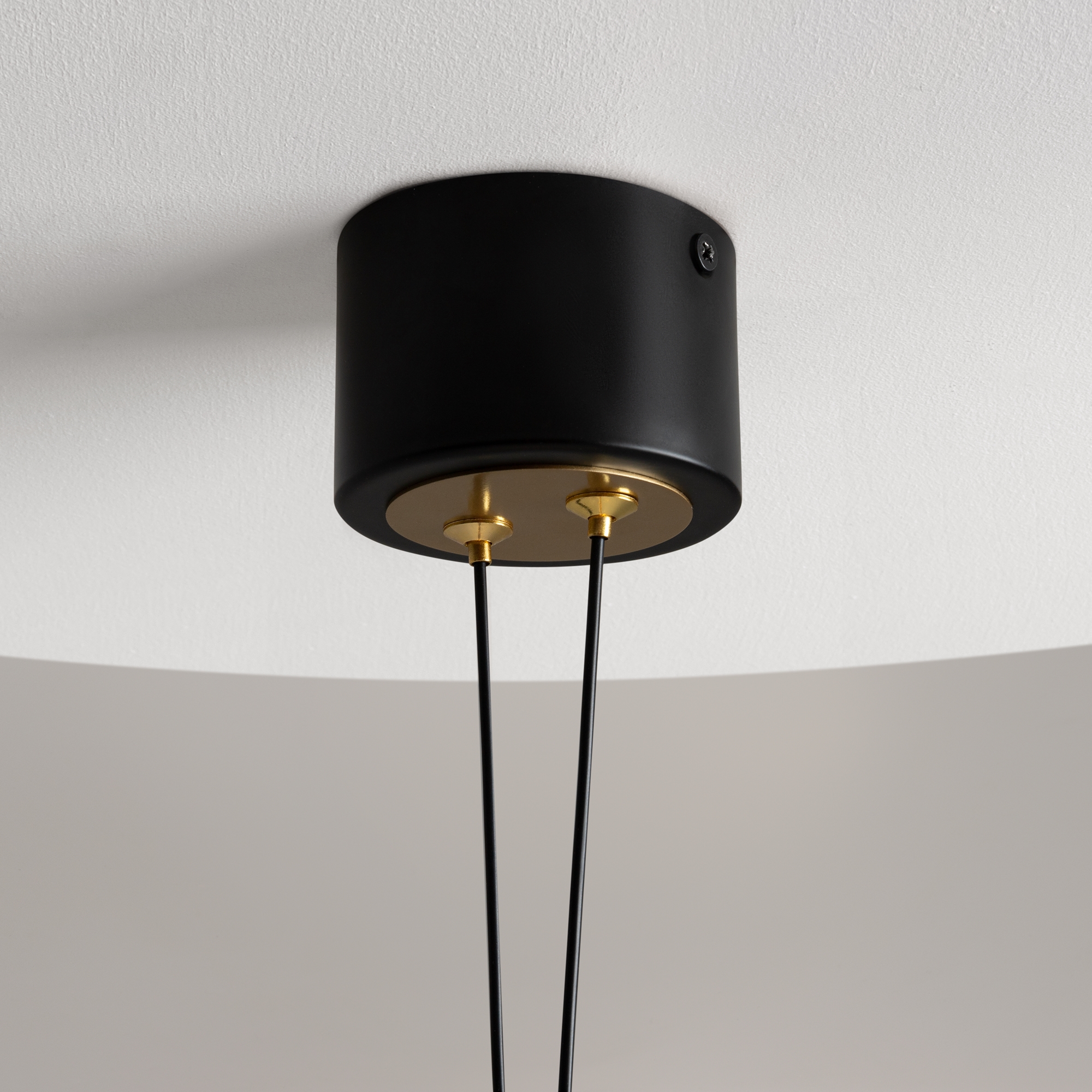 картинка Подвесной светильник Maytoni MOD357PL-L14BS3K