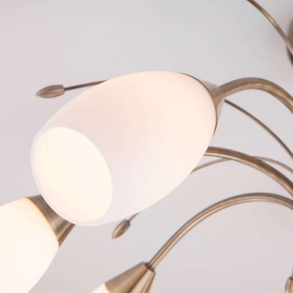 картинка Потолочная люстра со стеклянными плафонами 30280/8 античная бронза