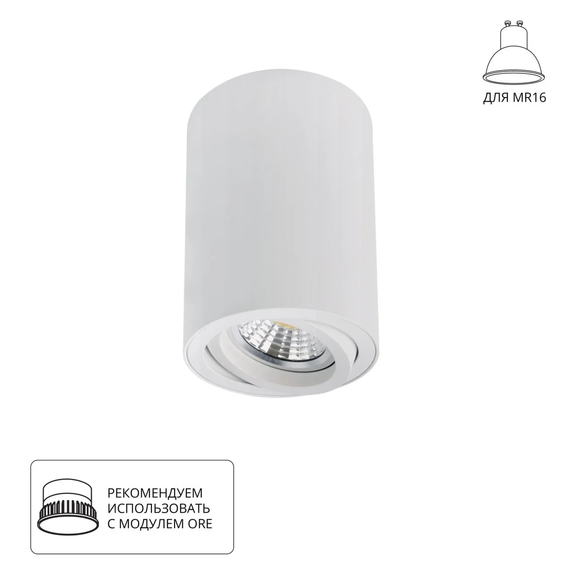 картинка Точечный накладной светильник Arte Lamp SENTRY A1566PL-1WH