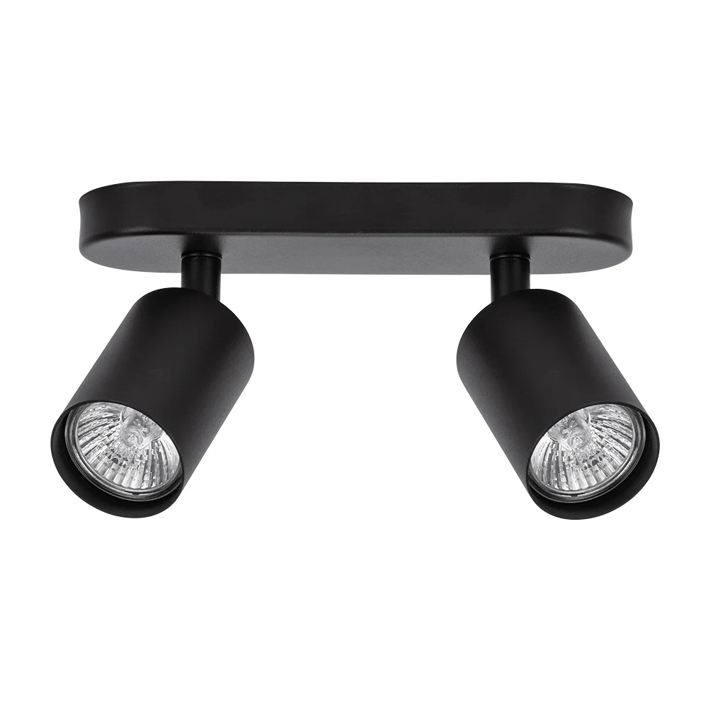 картинка Спот Arte Lamp AQUARIUS A3226PL-2BK