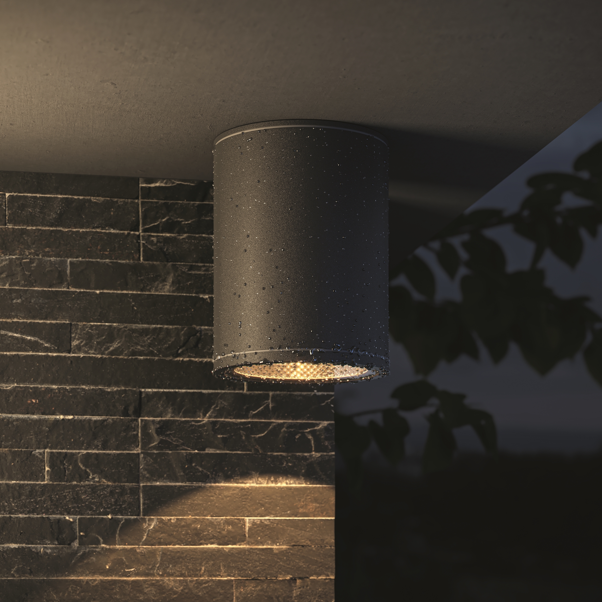 картинка Потолочный светильник Outdoor O306CL-L7GF