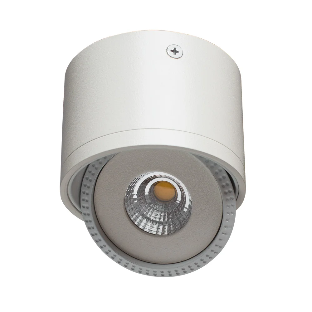 картинка Точечный накладной светильник Arte Lamp STUDIO A4105PL-1WH