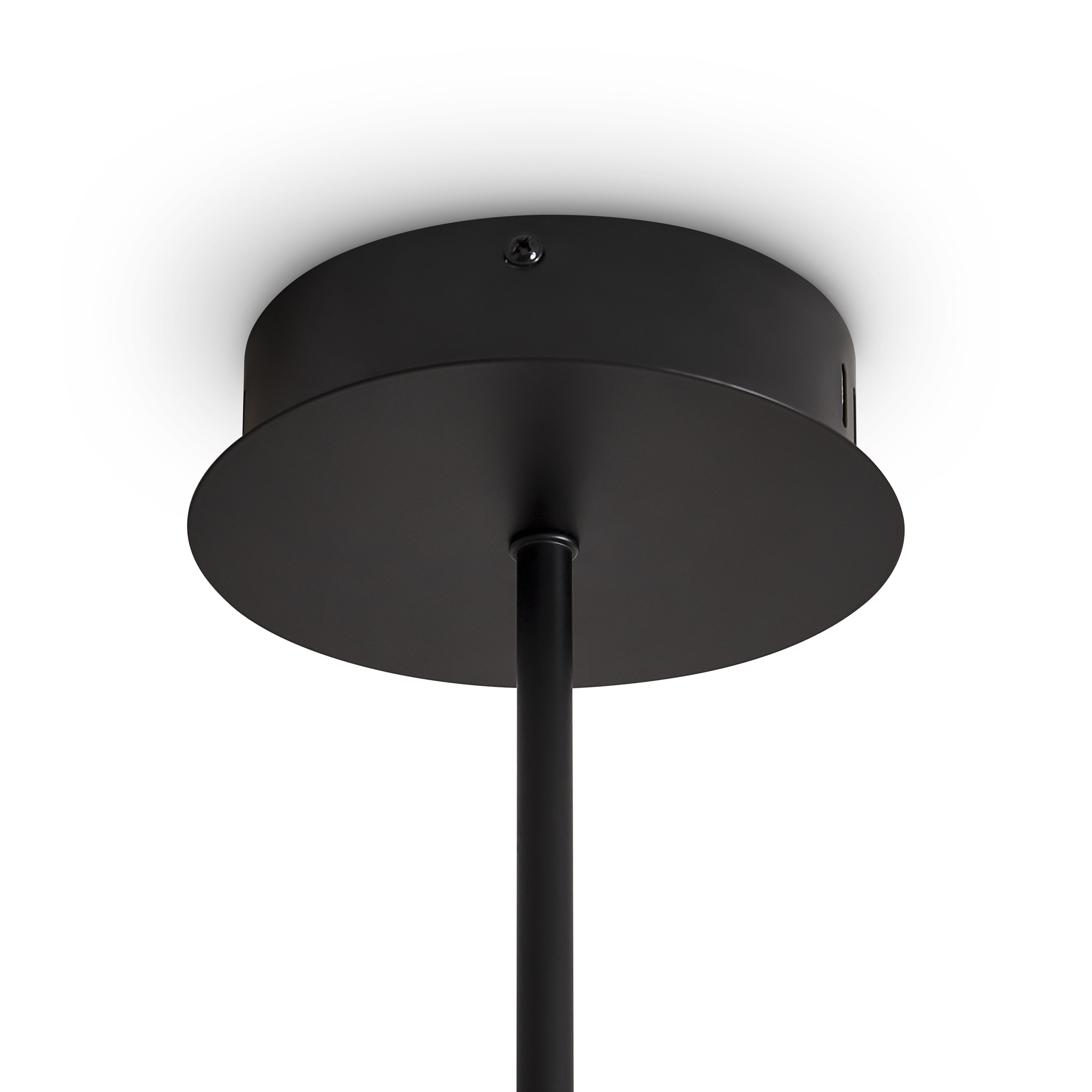 картинка Подвесной светильник Freya FR5557PL-L22B