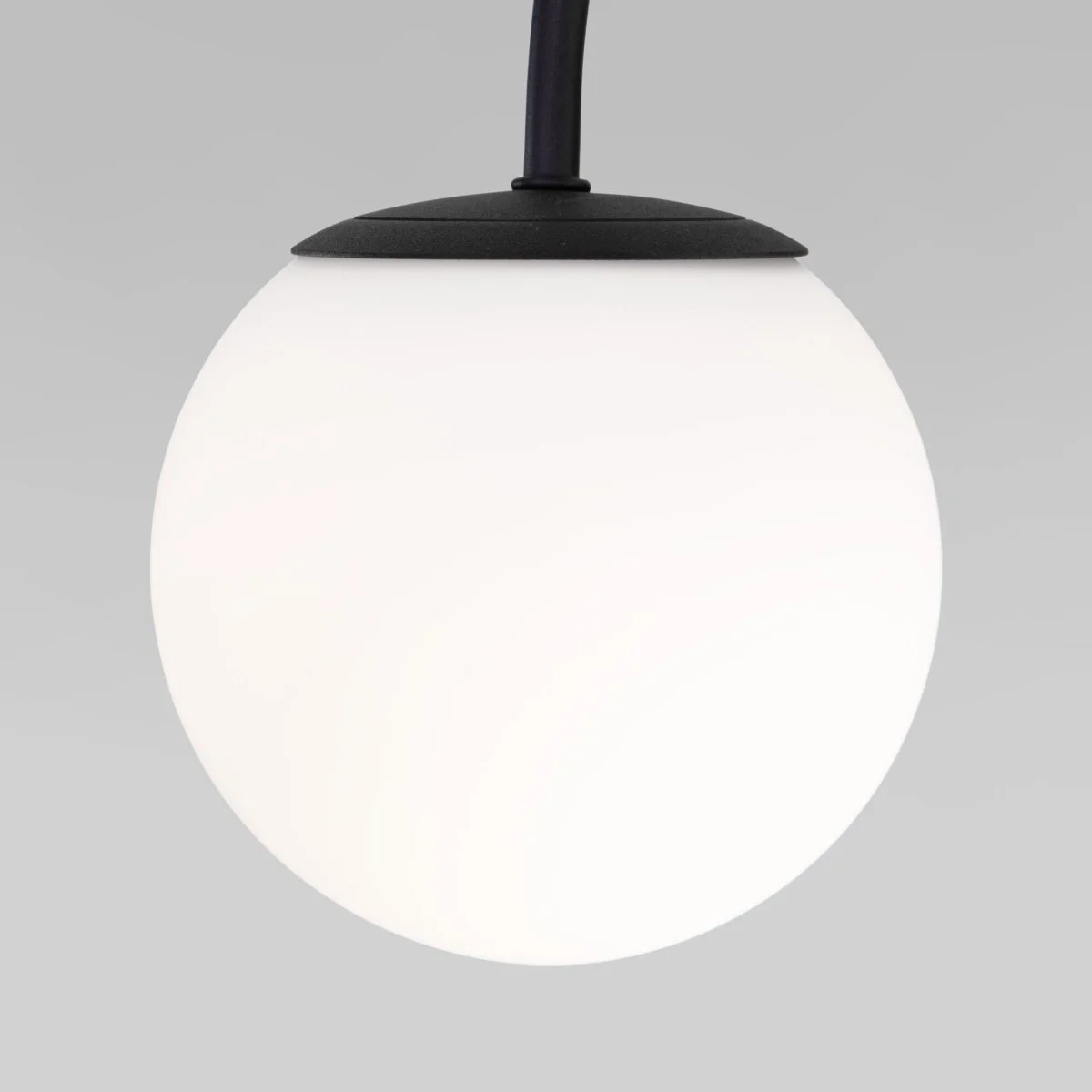 картинка Потолочный светильник со стеклянным плафоном 30179/4 черный