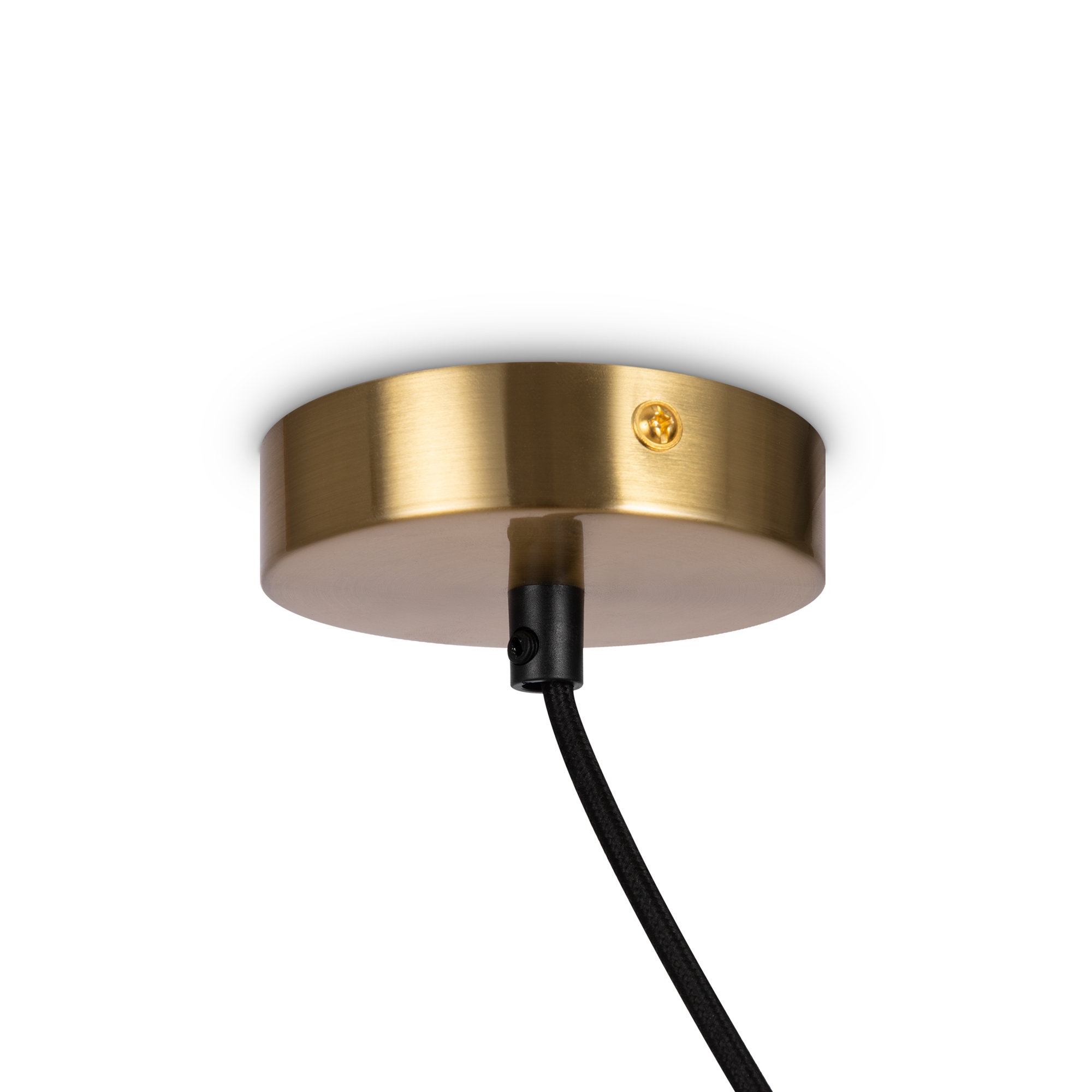 картинка Подвесной светильник Freya FR5221PL-01BS