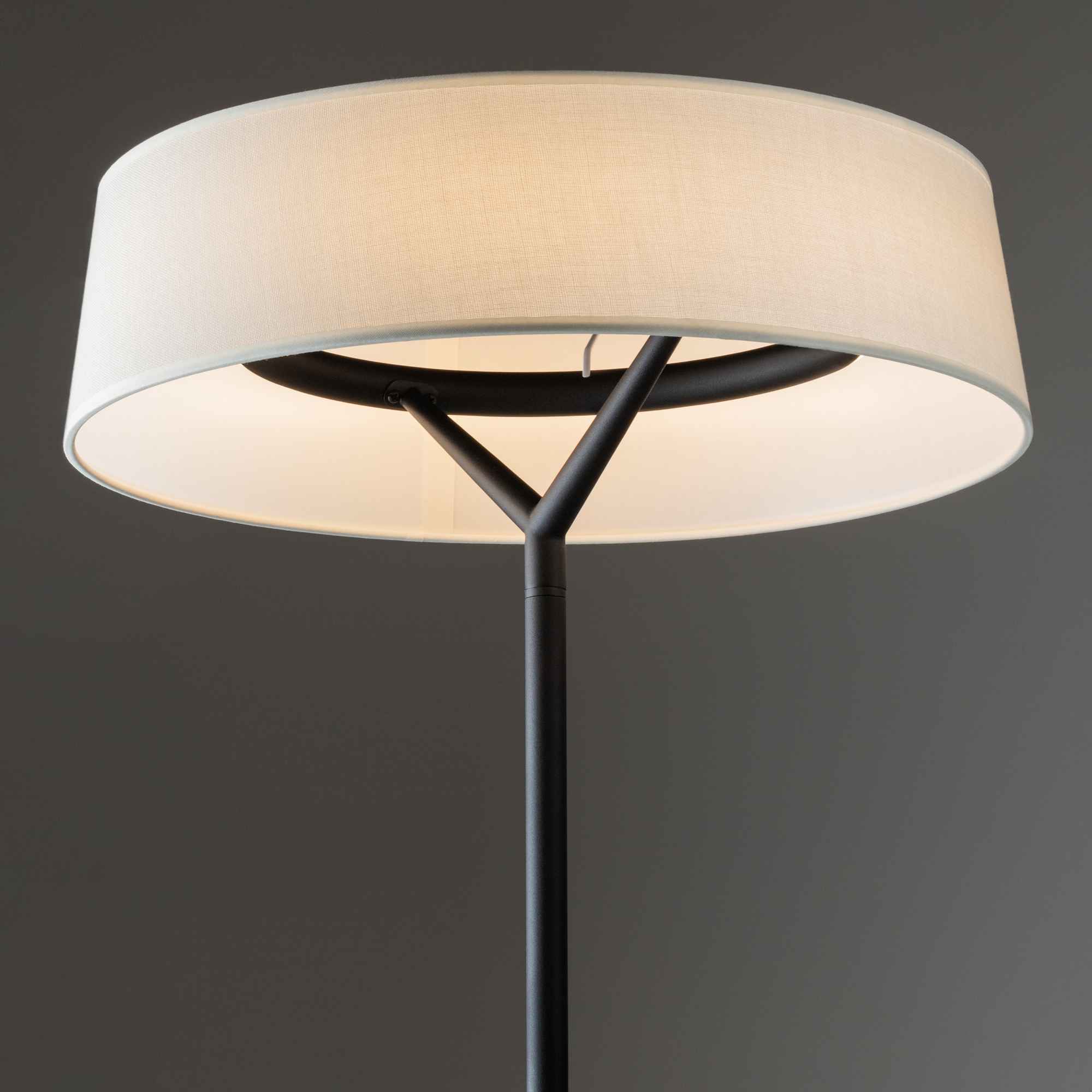 картинка Напольный светильник (торшер) Freya FR6132FL-L15B