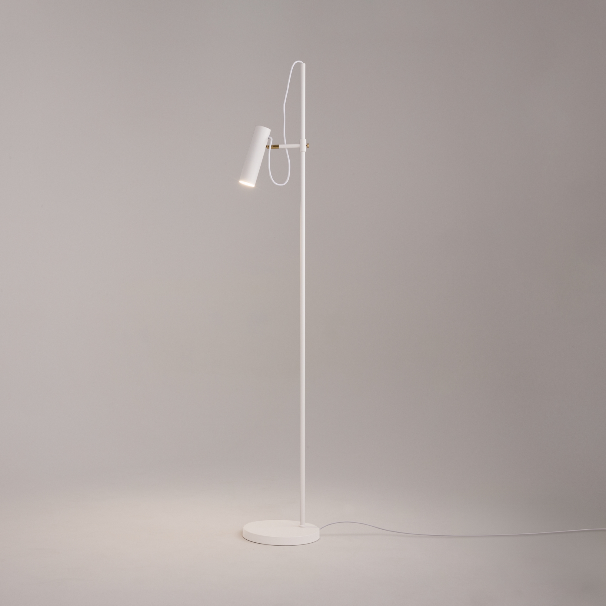 картинка Напольный светильник (торшер) Maytoni MOD129FL-01W