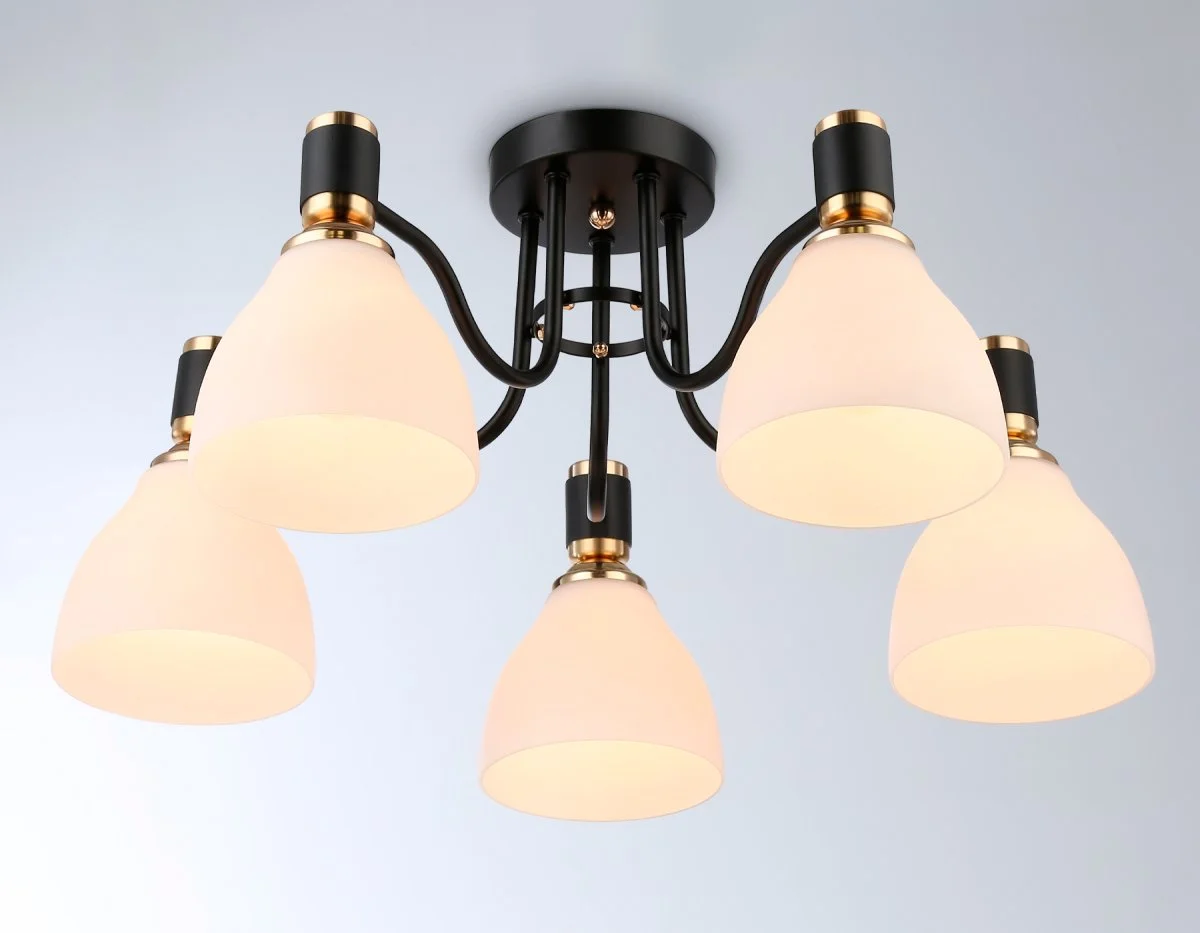 картинка Потолочный светильник TR303307