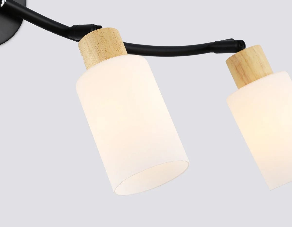 картинка Настенно-потолочный спот в стиле лофт TR8723