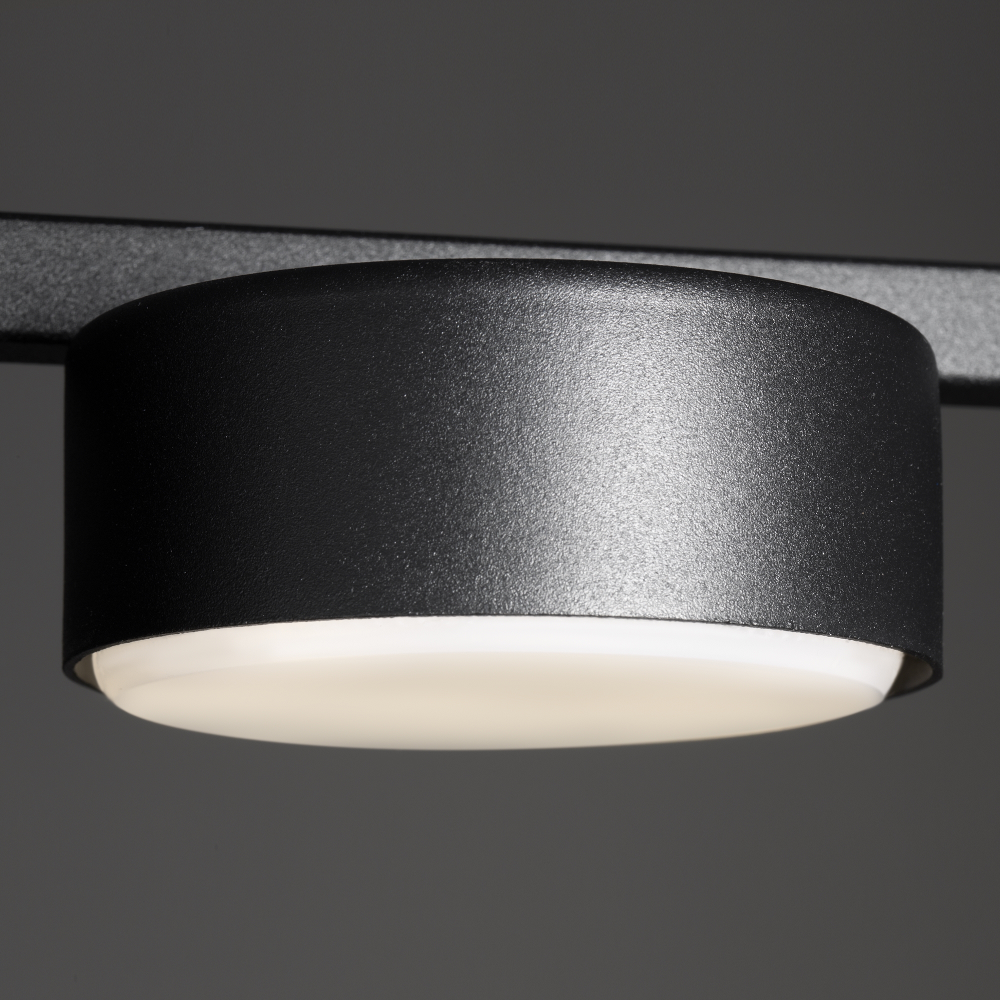 картинка Потолочный светильник Freya FR5363CL-02B