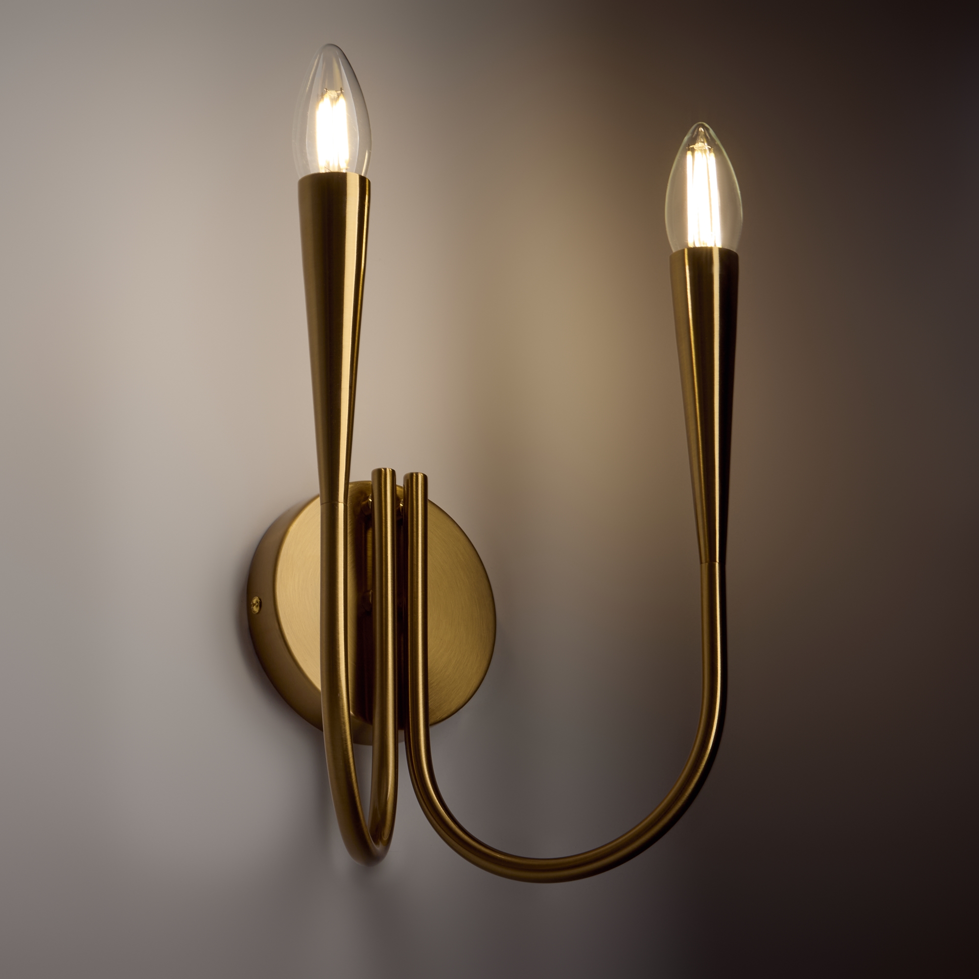 картинка Настенный светильник (бра) Freya FR5253WL-02BS