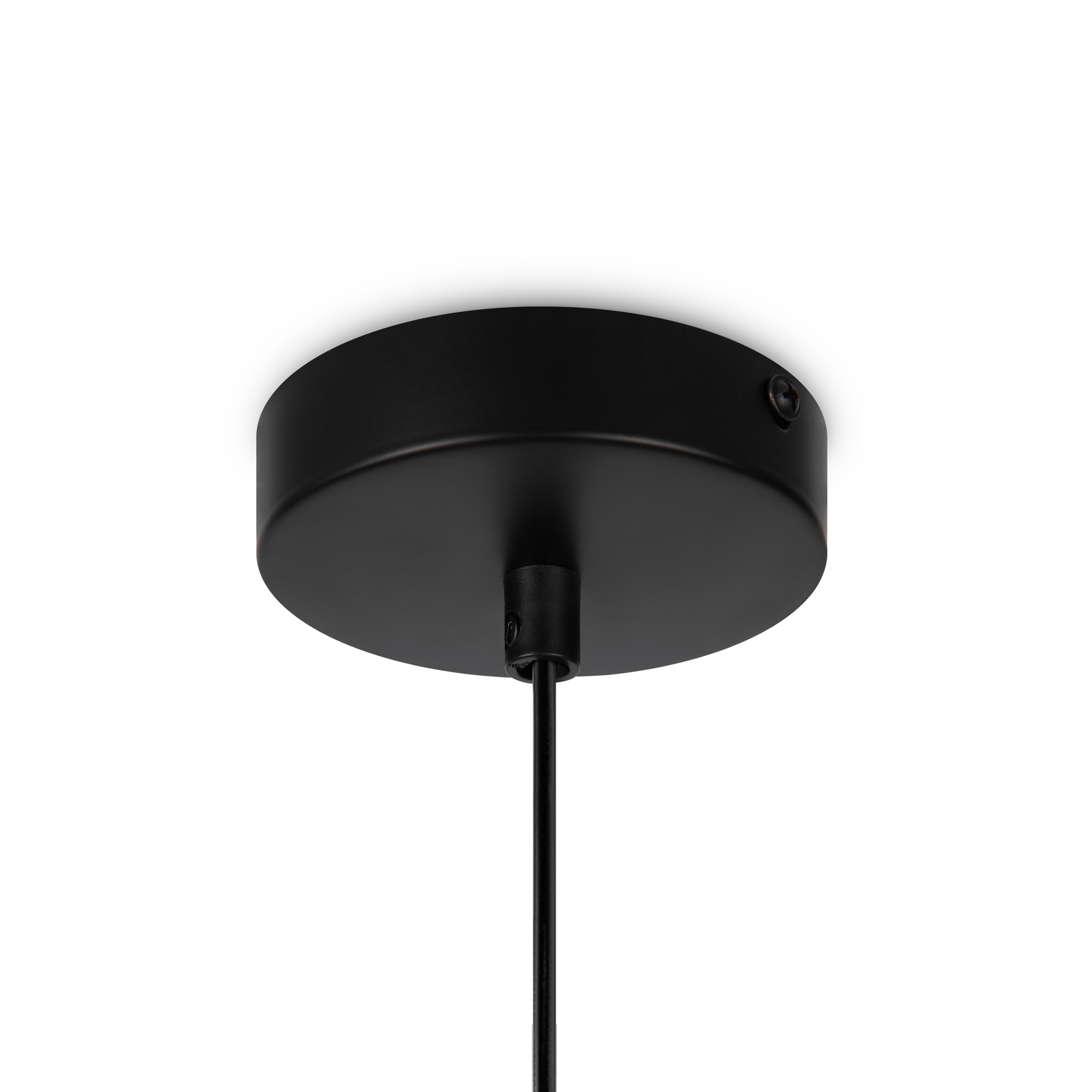 картинка Подвесной светильник Freya FR8011PL-01N