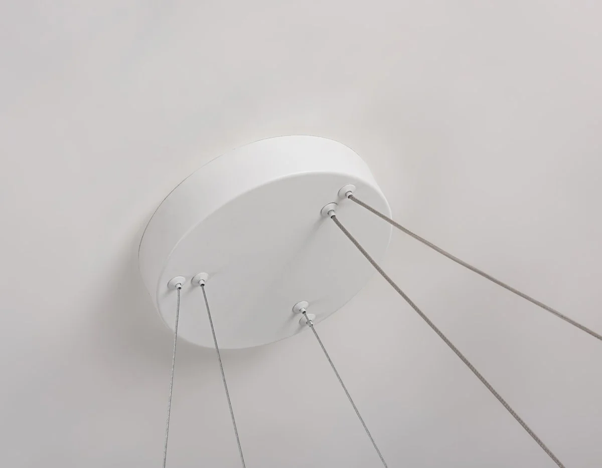 картинка Подвесной светодиодный светильник FL5862