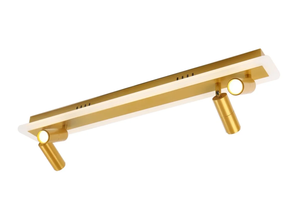 картинка Спот Arte Lamp TOMMY A2607PL-30GO