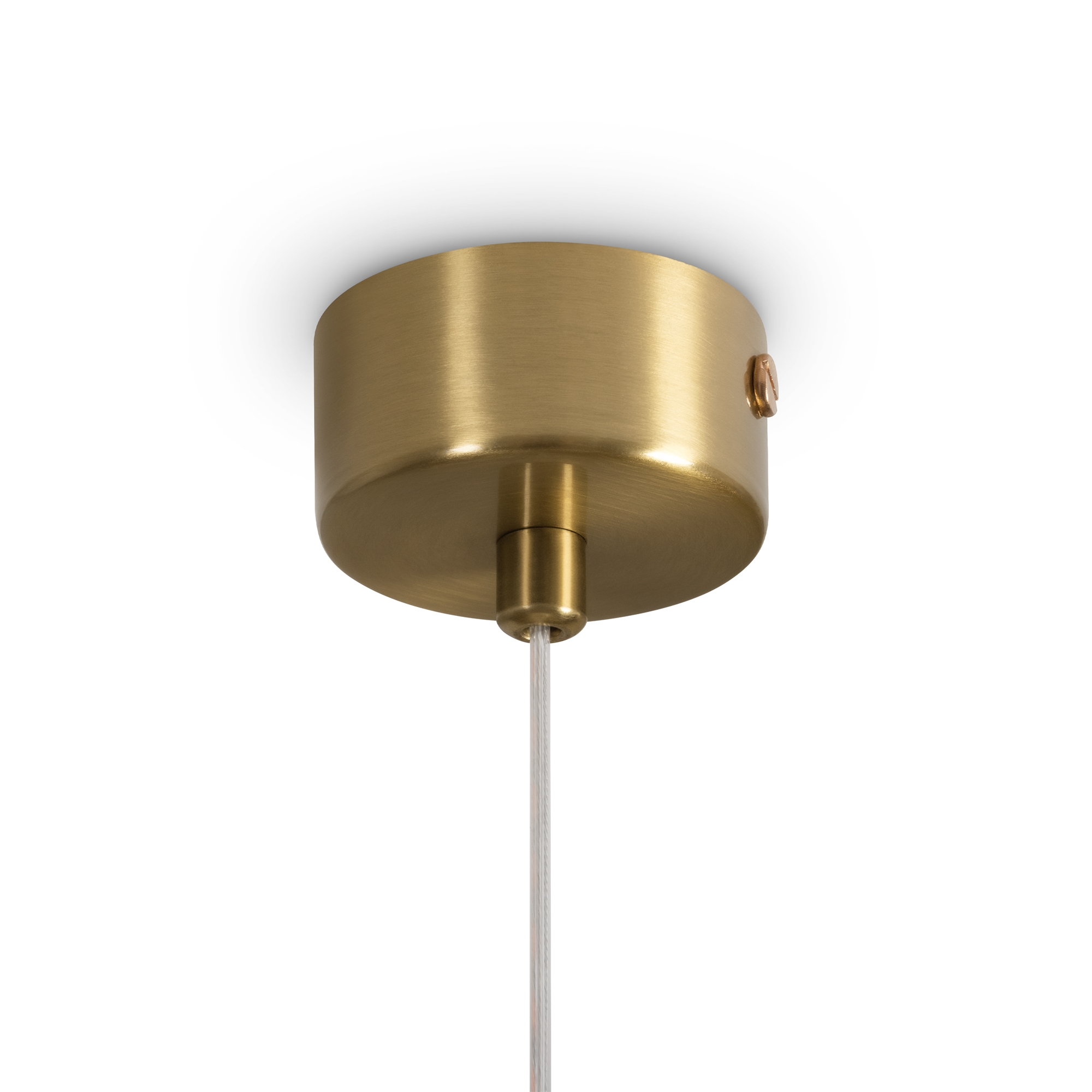 картинка Подвесной светильник Freya FR5590PL-01BS