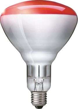 картинка Лампа накаливания инфракрасная IR250RH BR125 230-250В E27 1CT/10 PHILIPS 923212043801