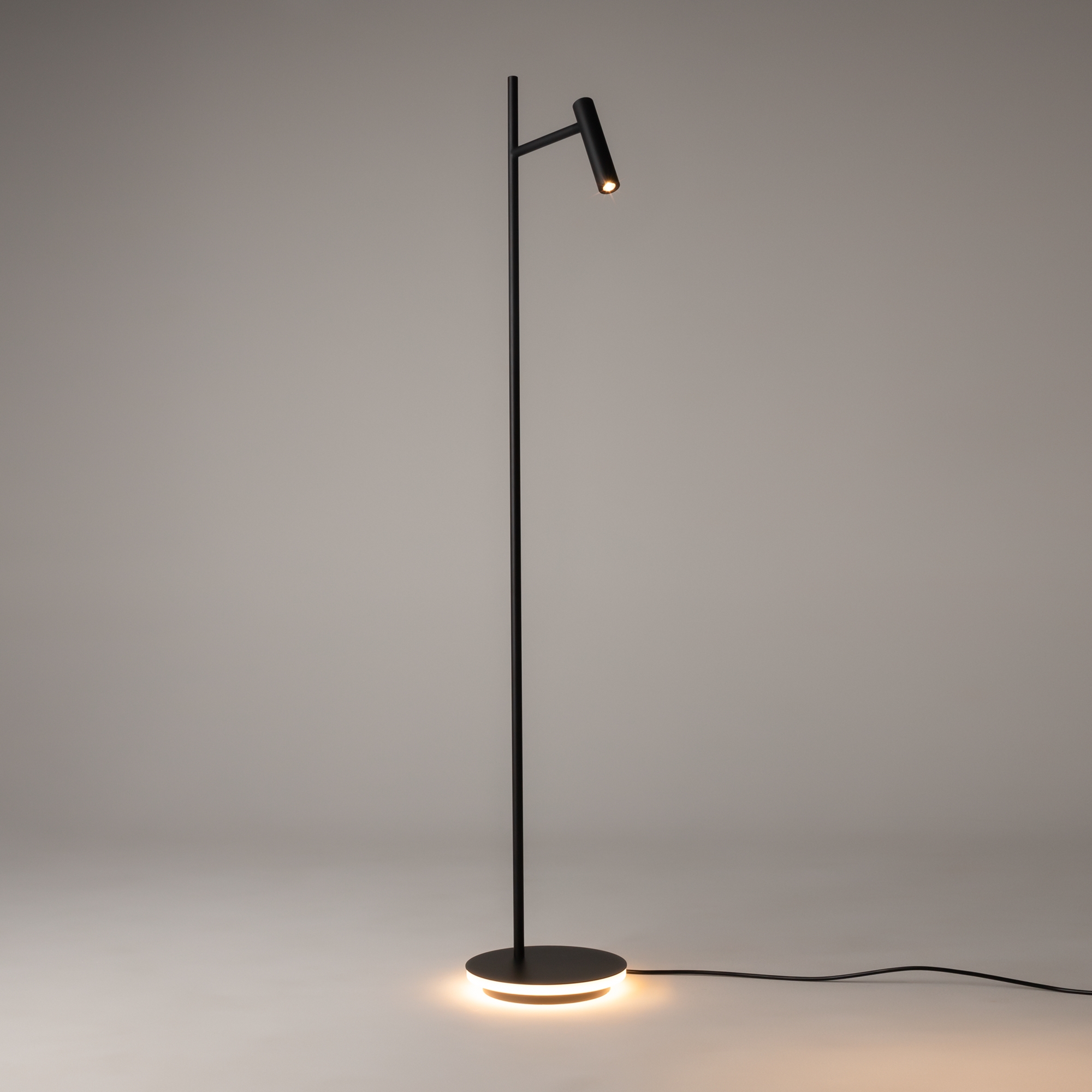 картинка Напольный светильник (торшер) Maytoni Z010FL-L8B3K