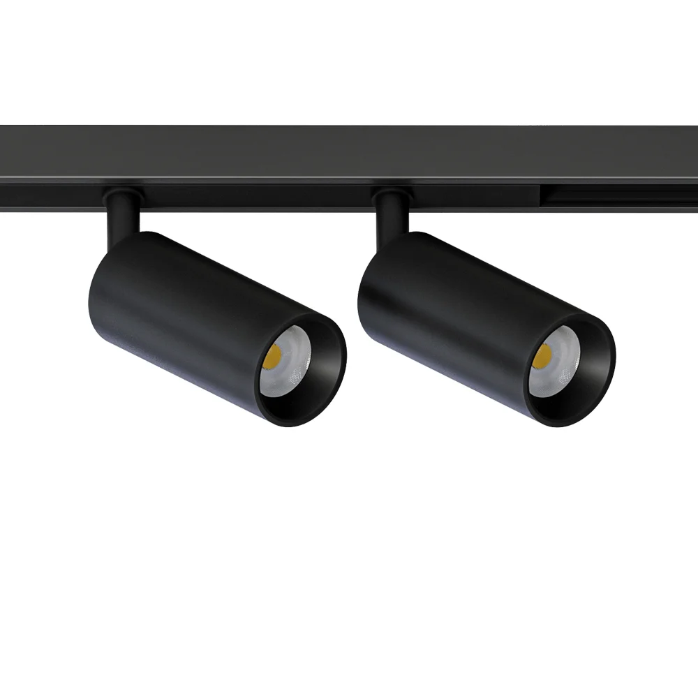 картинка Магнитный трековый светильник Arte Lamp OPTIMA A7280PL-2BK