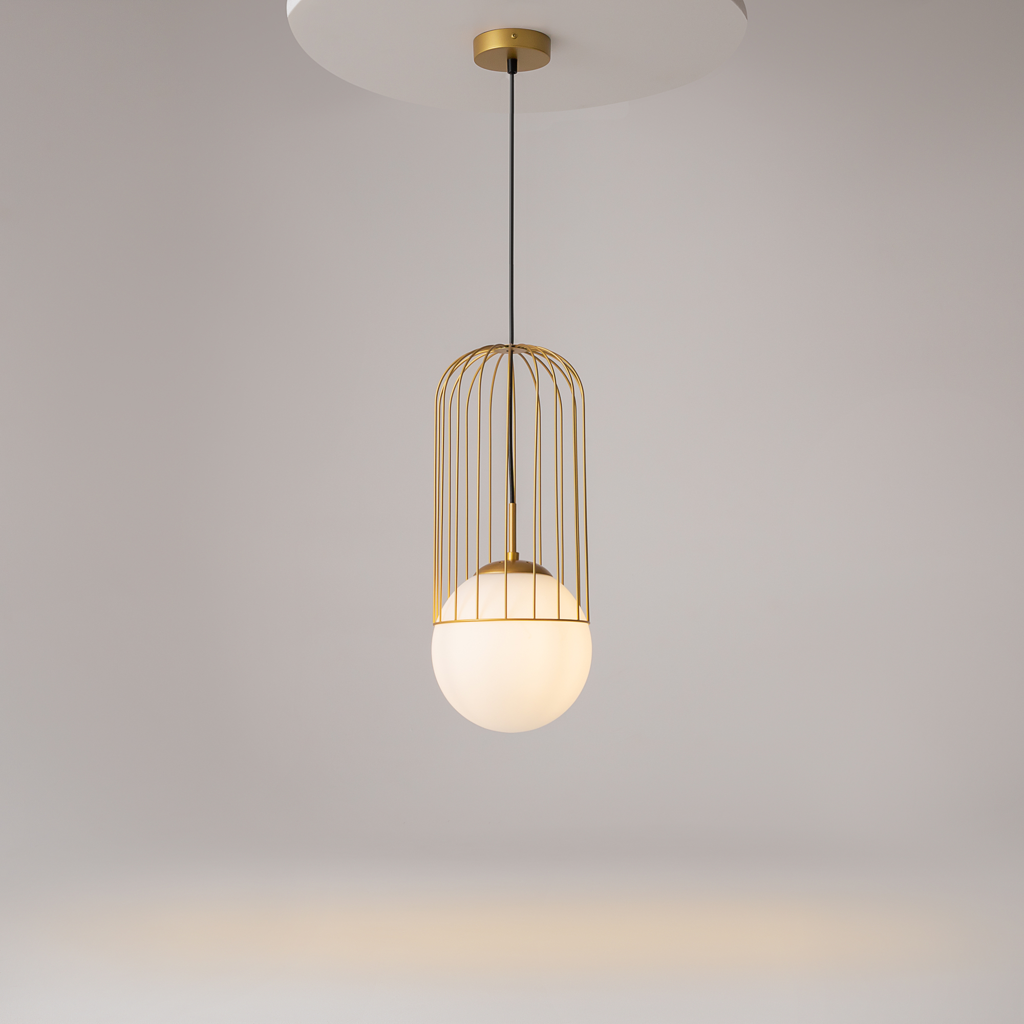 картинка Подвесной светильник Maytoni P363PL-01G