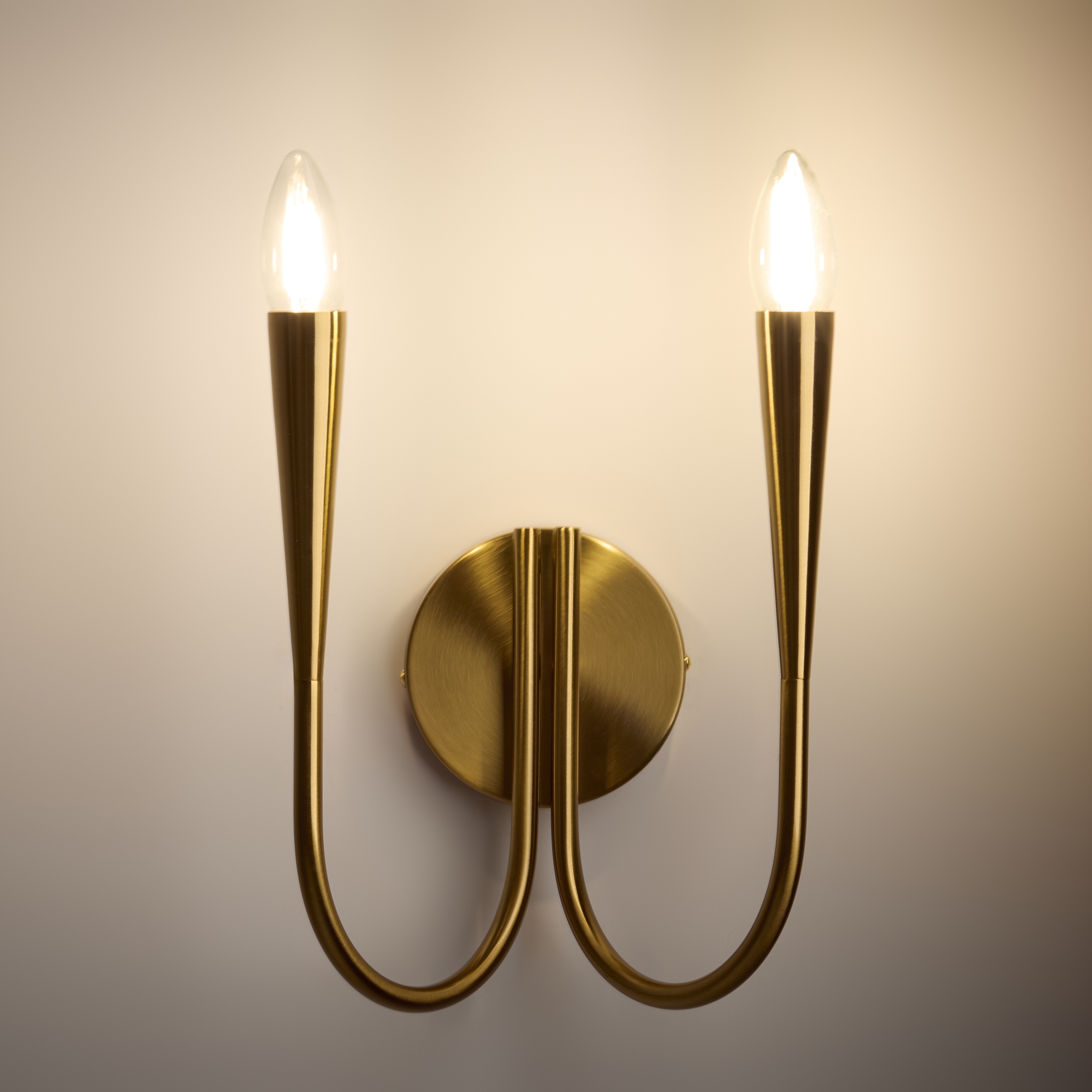 картинка Настенный светильник (бра) Freya FR5253WL-02BS