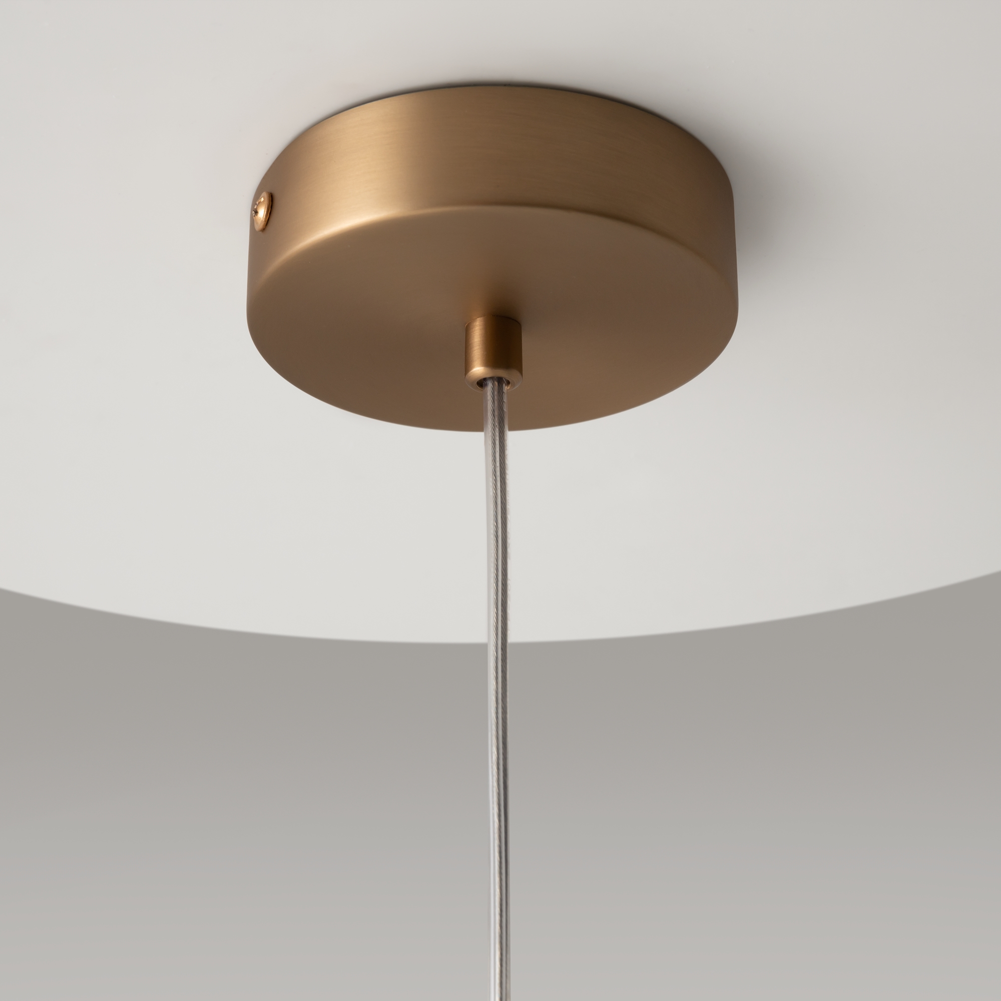 картинка Подвесной светильник Maytoni MOD113PL-01W