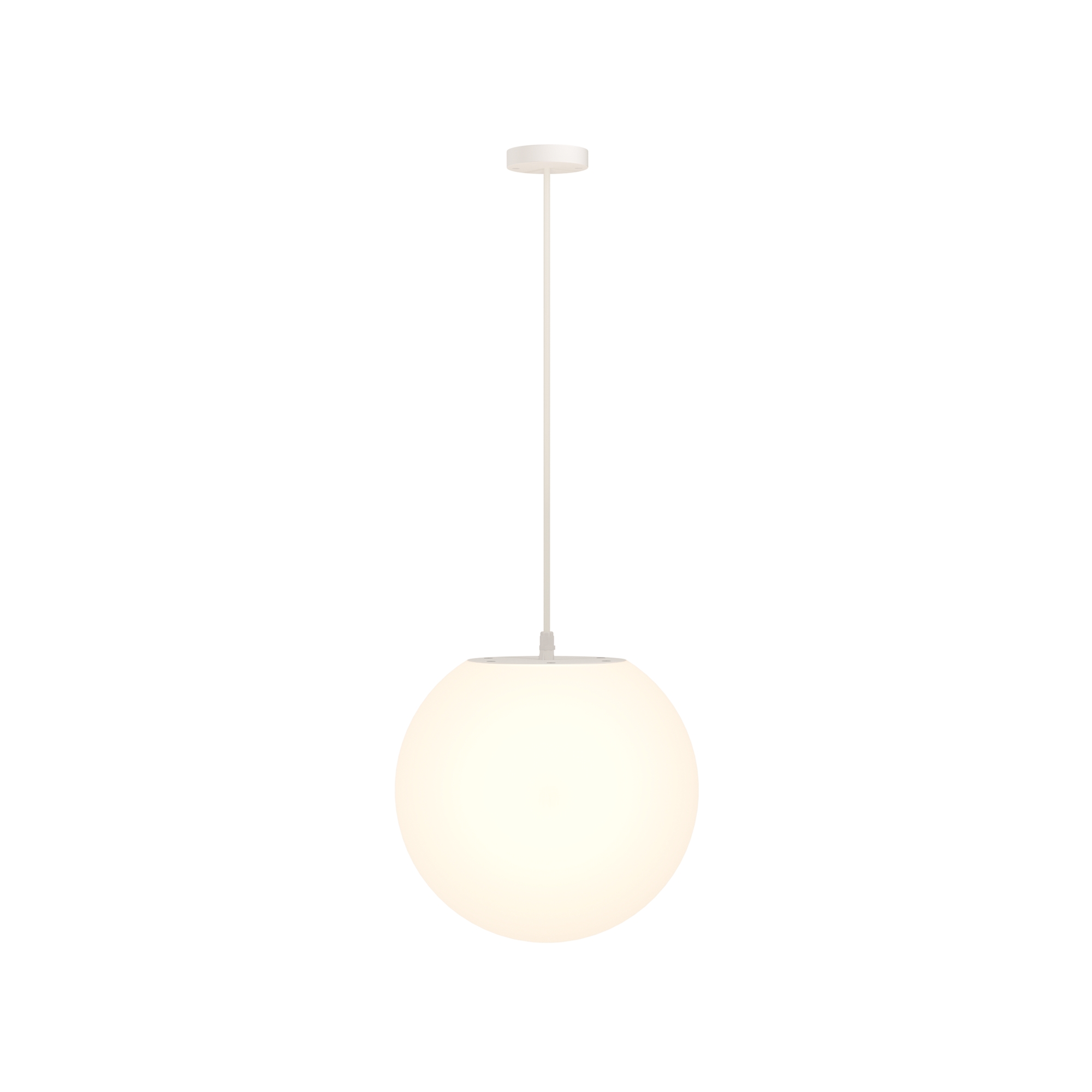 картинка Подвесной светильник Outdoor O594PL-01W