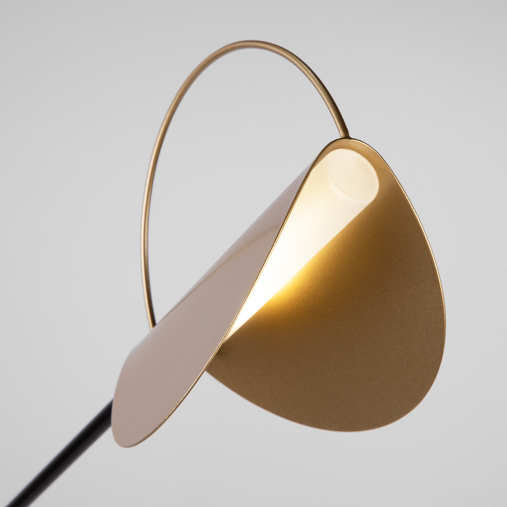 картинка Напольный светильник 01143/1 черный/золото