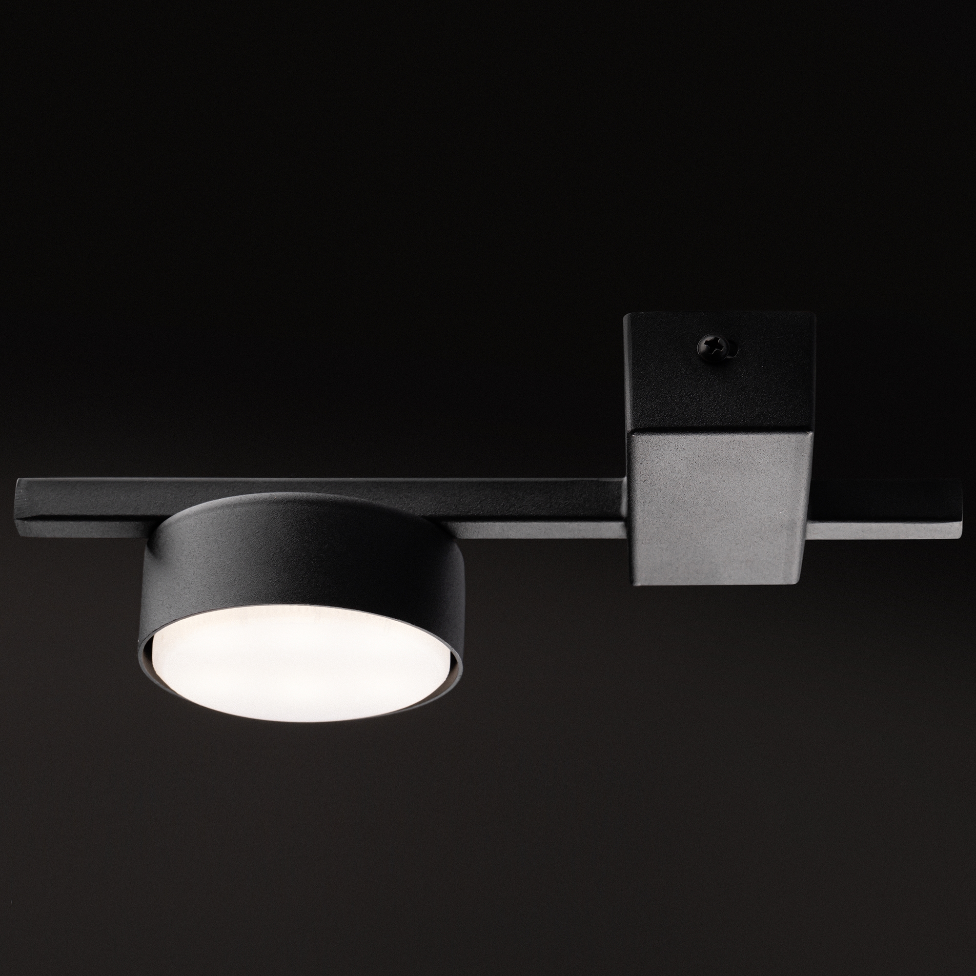 картинка Потолочный светильник Freya FR5363CL-01B