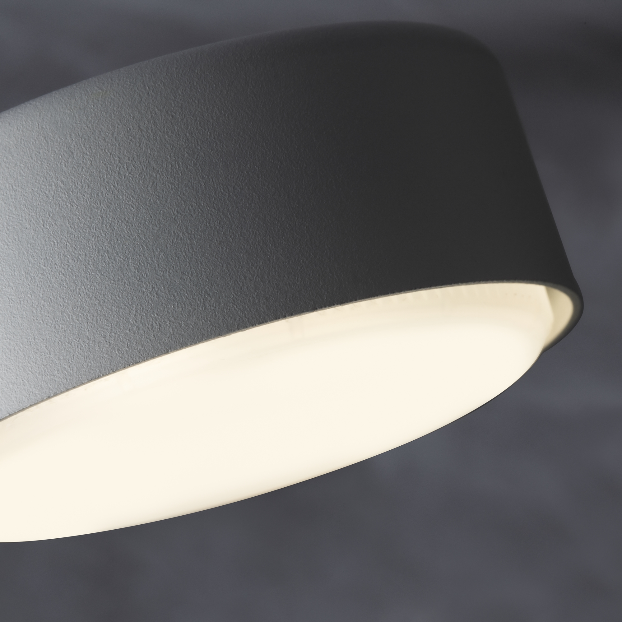 картинка Потолочный светильник Freya FR5363CL-02W1