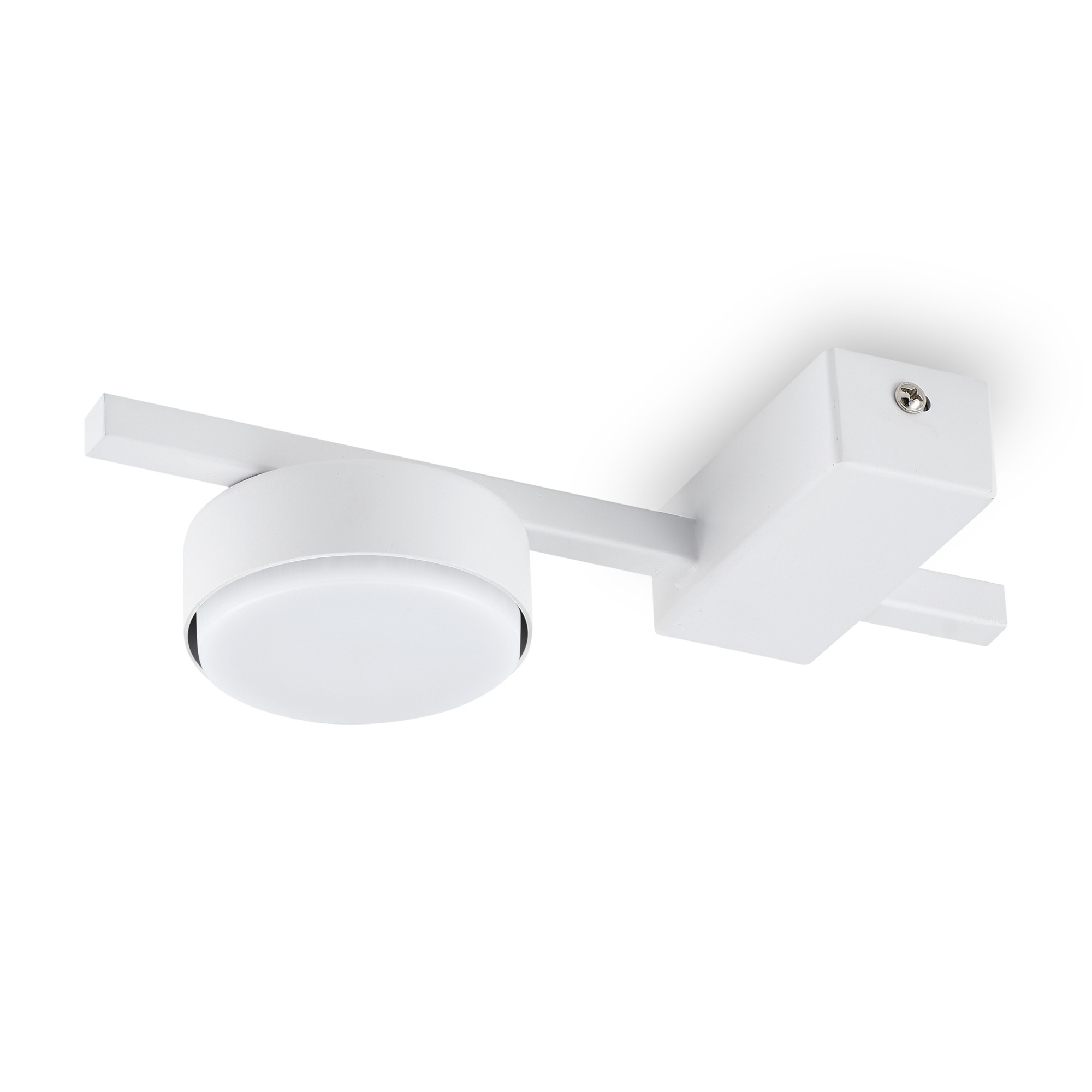 картинка Потолочный светильник Freya FR5363CL-01W