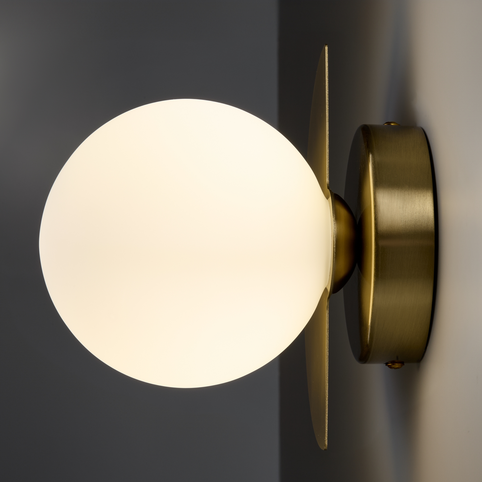 картинка Настенный светильник (бра) Freya FR5391WL-01BS