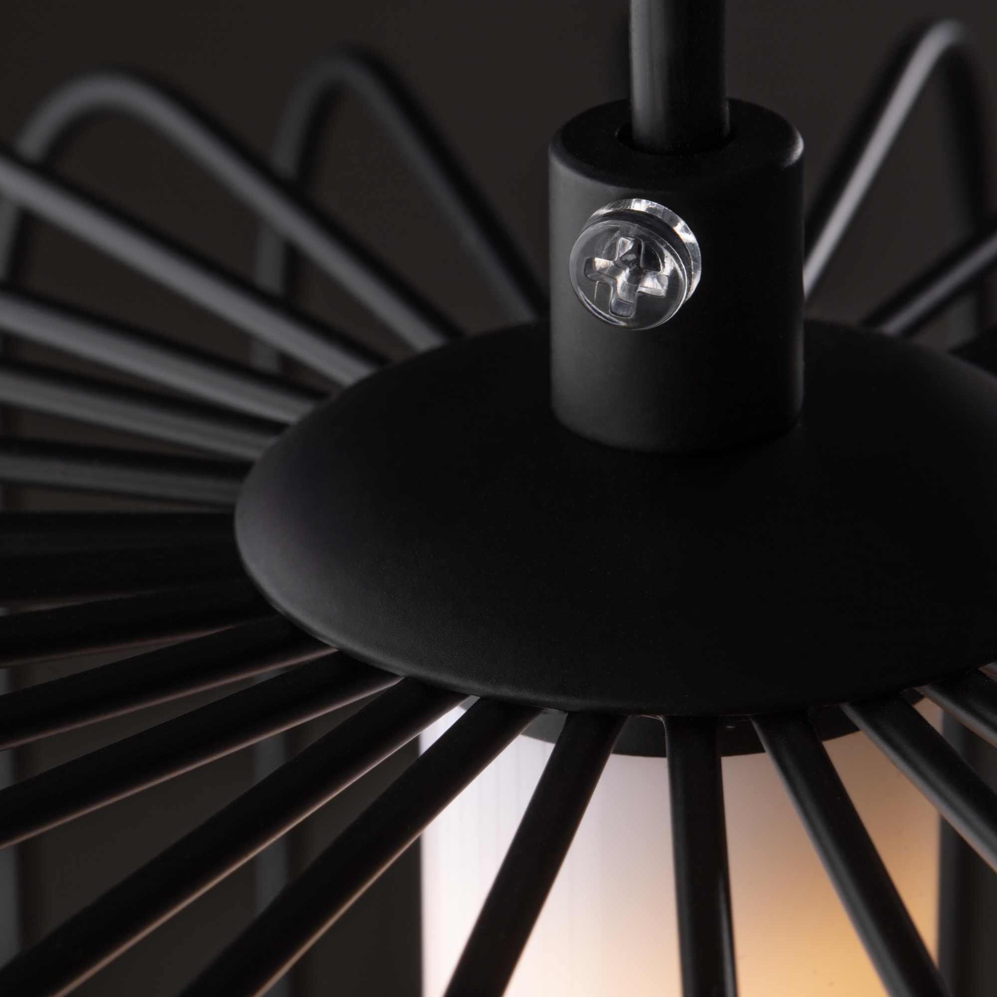 картинка Подвесной светильник Freya FR6131PL-L13B