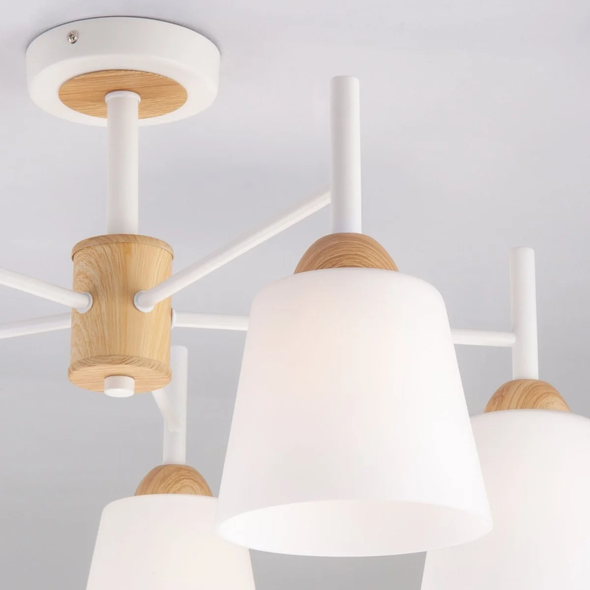 картинка Потолочная люстра со стеклянными плафонами 70085/5 белый