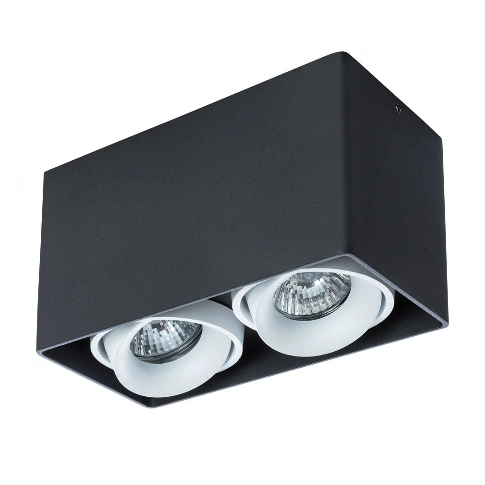 картинка Точечный накладной светильник Arte Lamp PICTOR A5654PL-2BK