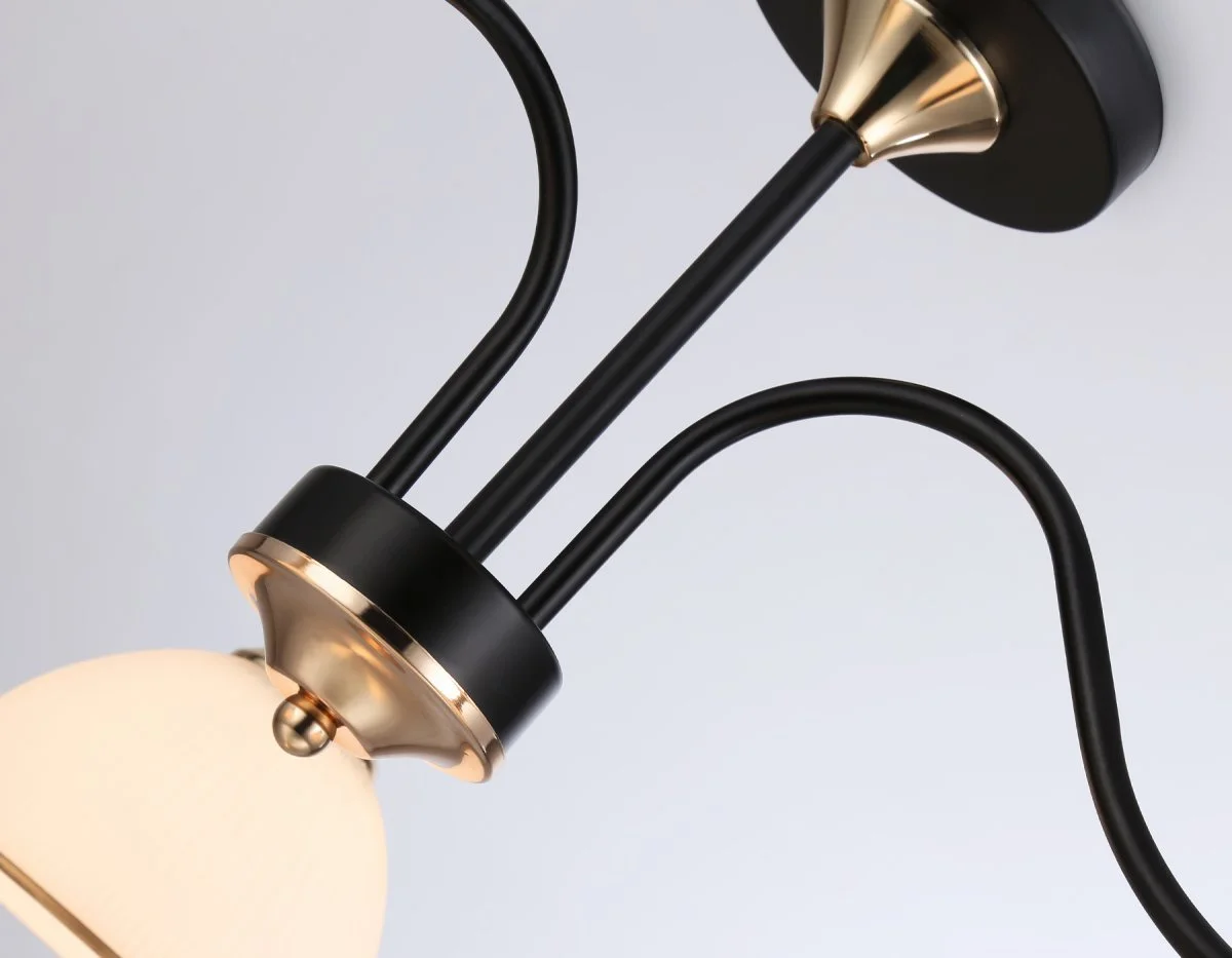 картинка Подвесной светильник TR3161