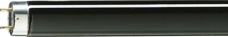 картинка Лампа люминесцентная TL-D 18W BLB 1SL/25 G13 PHILIPS 928048010805
