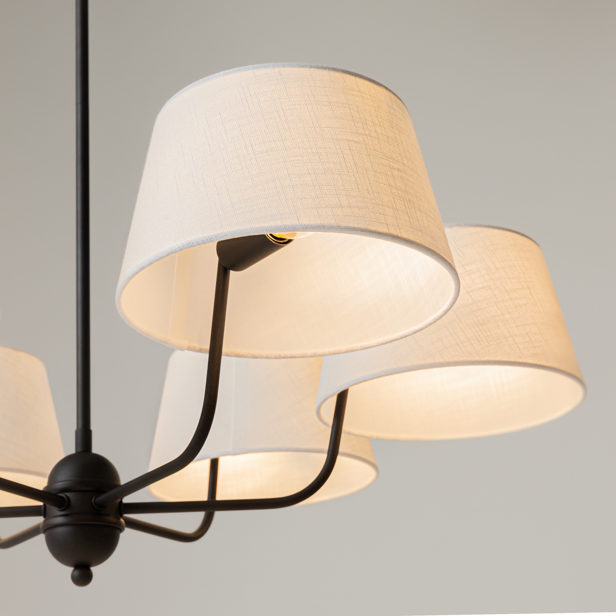 картинка Подвесной светильник Maytoni MOD360PL-06B