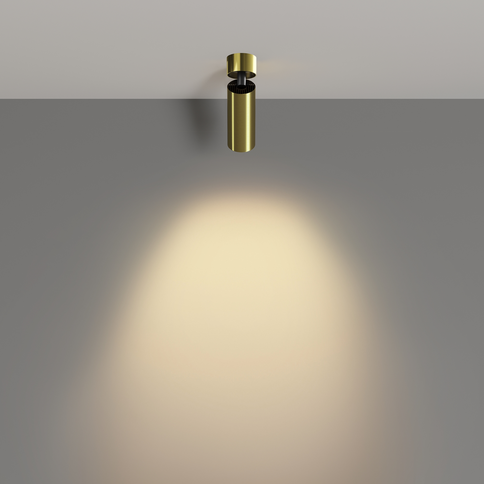 картинка Потолочный светильник Technical C055CL-L12W2.7K-W-BS