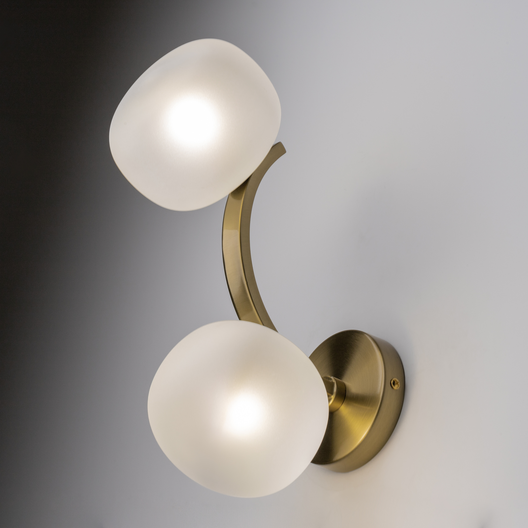 картинка Настенный светильник (бра) Freya FR5444WL-02BS