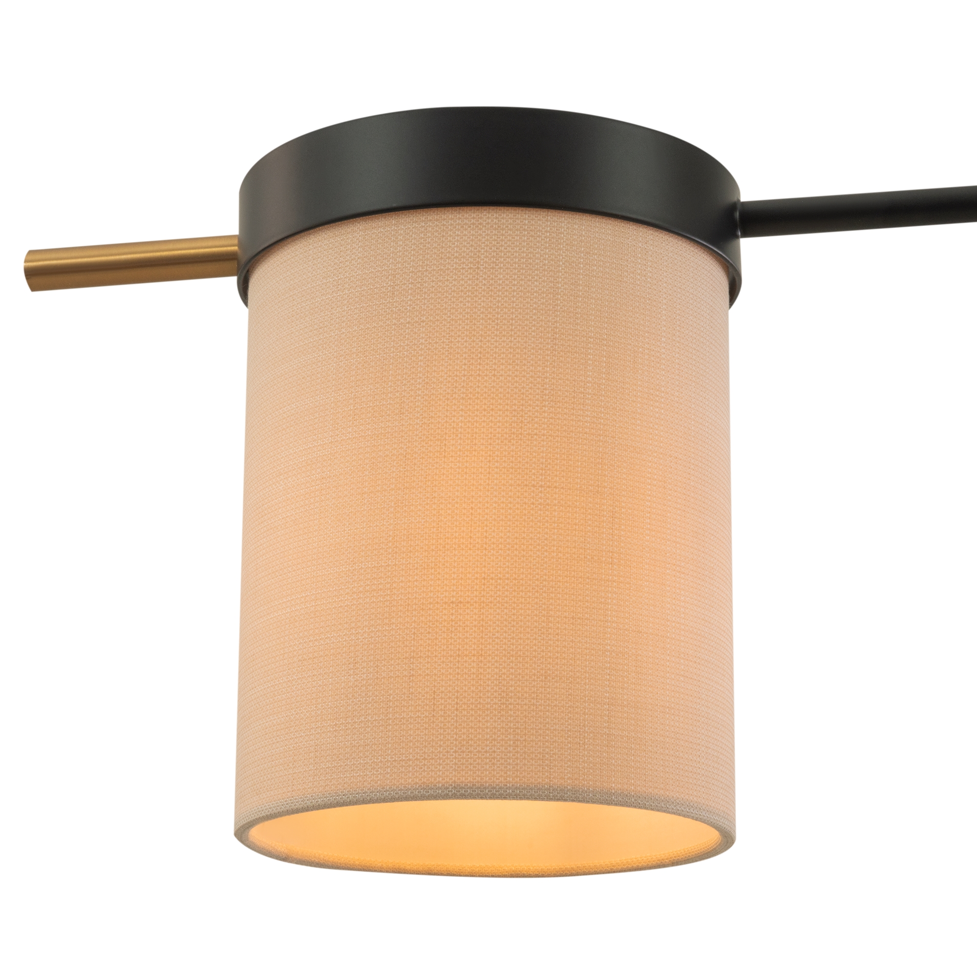 картинка Потолочный светильник Freya FR5377CL-04B